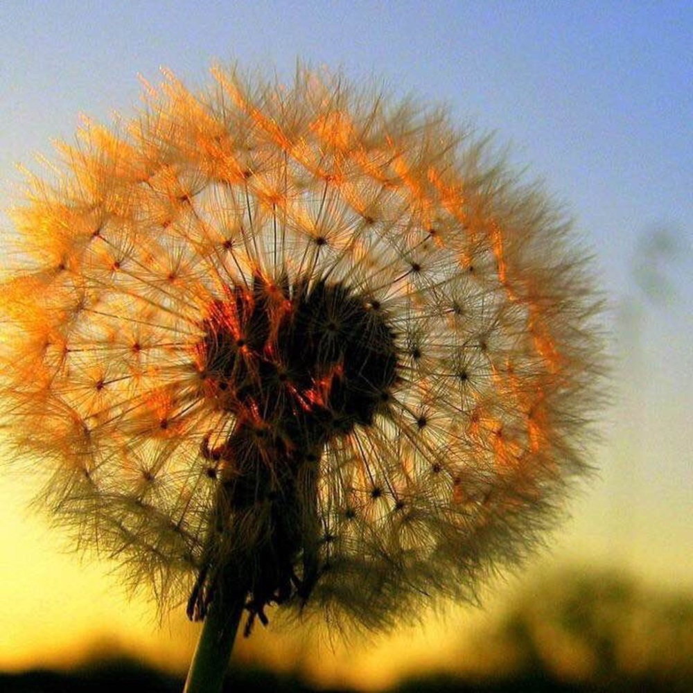 Meet your Posher, Kristin